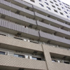 feela001-1.jpg